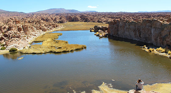 Salar De Uyuni 2 Dias 1 Noche Laguna Catal
