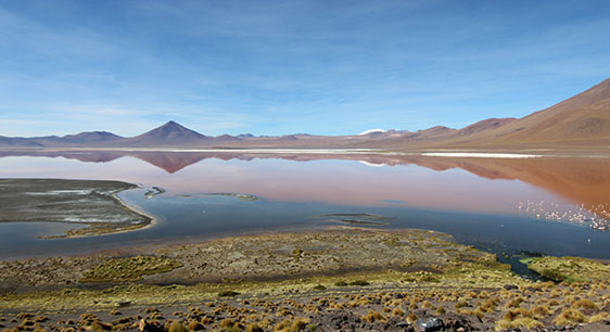 Salar De Uyuni 2 Dias 1 Noche Laguna Catal