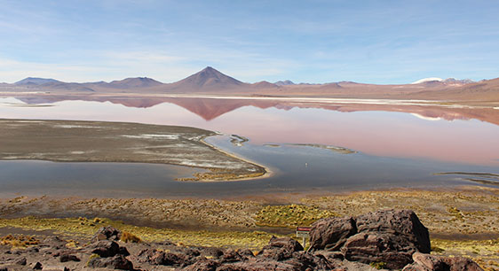 Salar de Uyuni Lagunas Alto Andinas Con hostal de sal