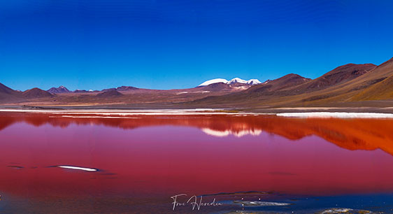 Uyuni o San Pedro de Atacama Chile