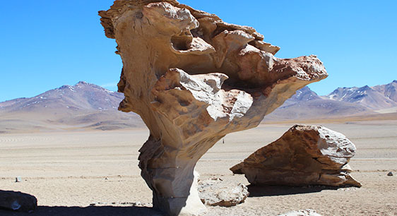 Tour 3 Days 2 Nights with Hostels