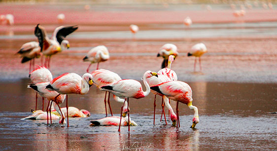Tour 3 Days 2 Nights with Hotels